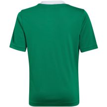 adidas Maglia Entrada