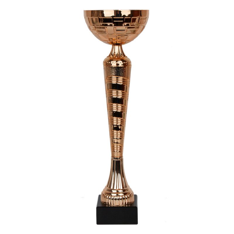 W2079 Triumph Cup