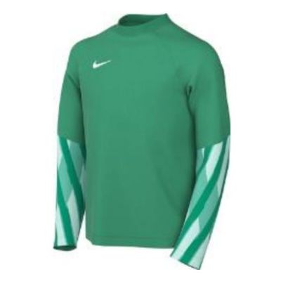 Nike Maglia Dri-FIT Park Goalkeeper