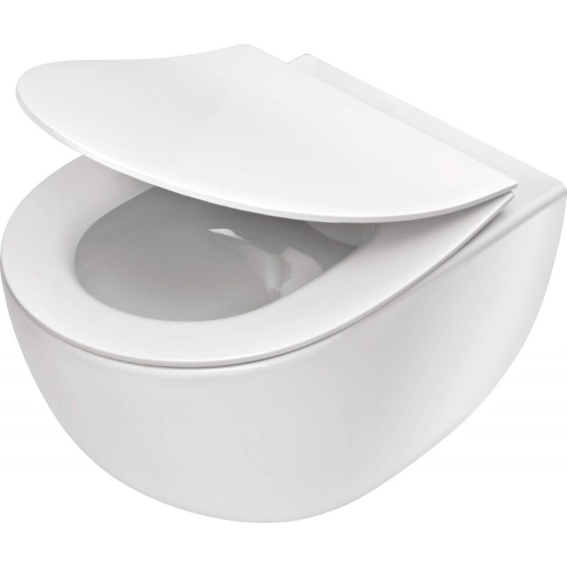 Wall-hung rimless toilet bowl