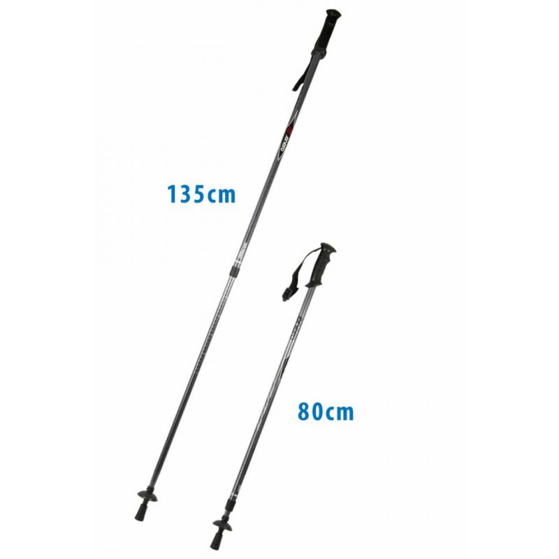 Classic silver trekking poles