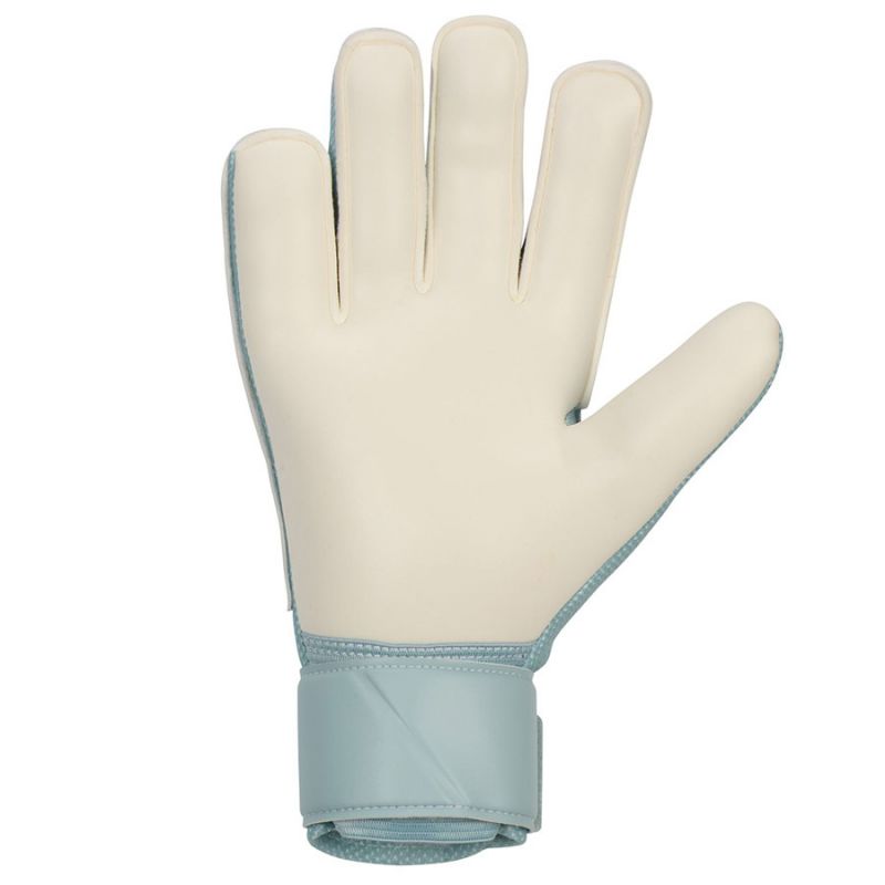 Nike Guanti Match Goalkeeper