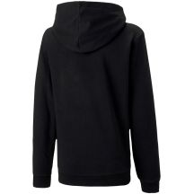 Puma Felpa con cappuccio teamGOAL Casuals