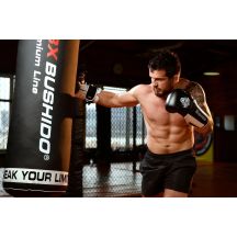 DBX Bushido Guanti Boxing Phantom Valor Series