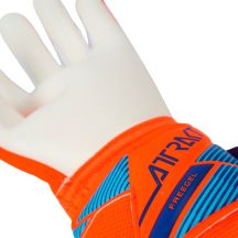 Reusch Guanti Attrakt Freegel Advance Goalkeeper