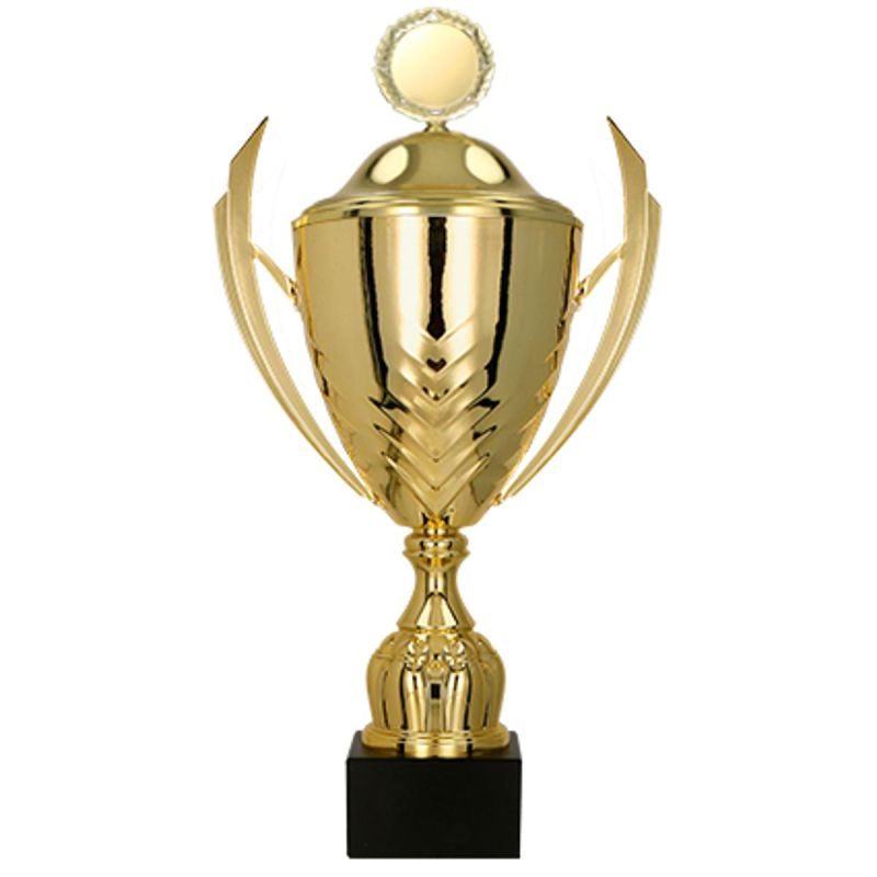 Metal cup with a lid
