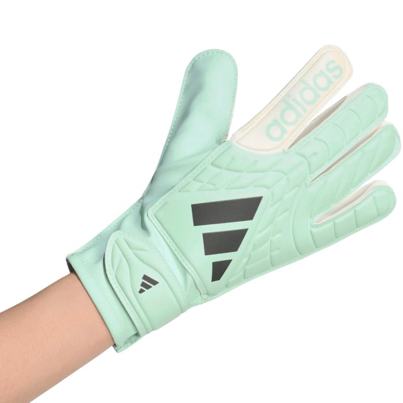 adidas Guanti Copa Club Goalkeeper and