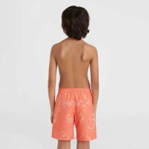 ONeill Pantaloncini O'Neill Mix Match Cali Floral Swim