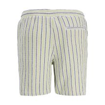 Jack&Jones Pantaloncini striped jpstjaiden coba stripe JOG shorts REG SN TEA/stripes