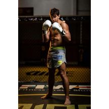 DBX Bushido Guanti Boxing Spirit Valor Series
