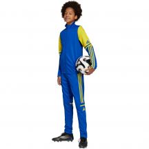 adidas Pantaloni Squadra Training