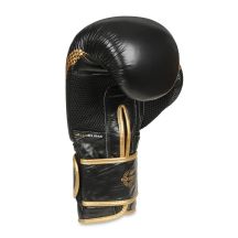 DBX Bushido Guanti Boxing Aureos Valor Series