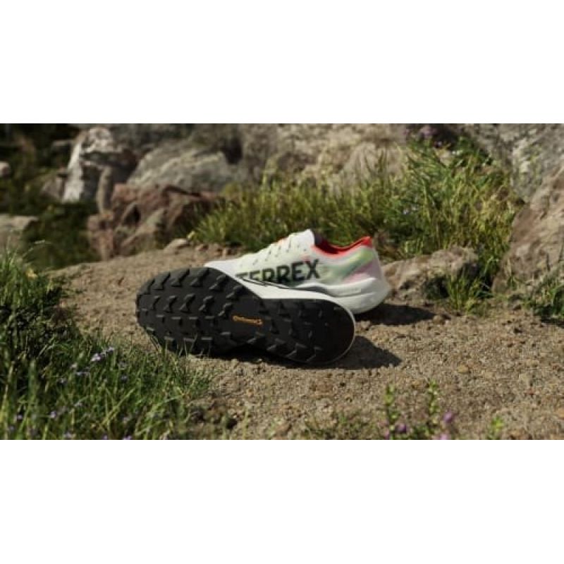 adidas Scarpe adidas terrex Agravic Speed ftwr white/core blk/imp size