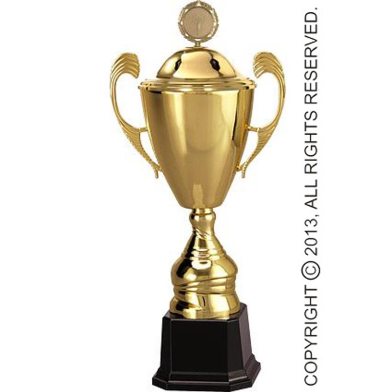 Gold metal cup with lid