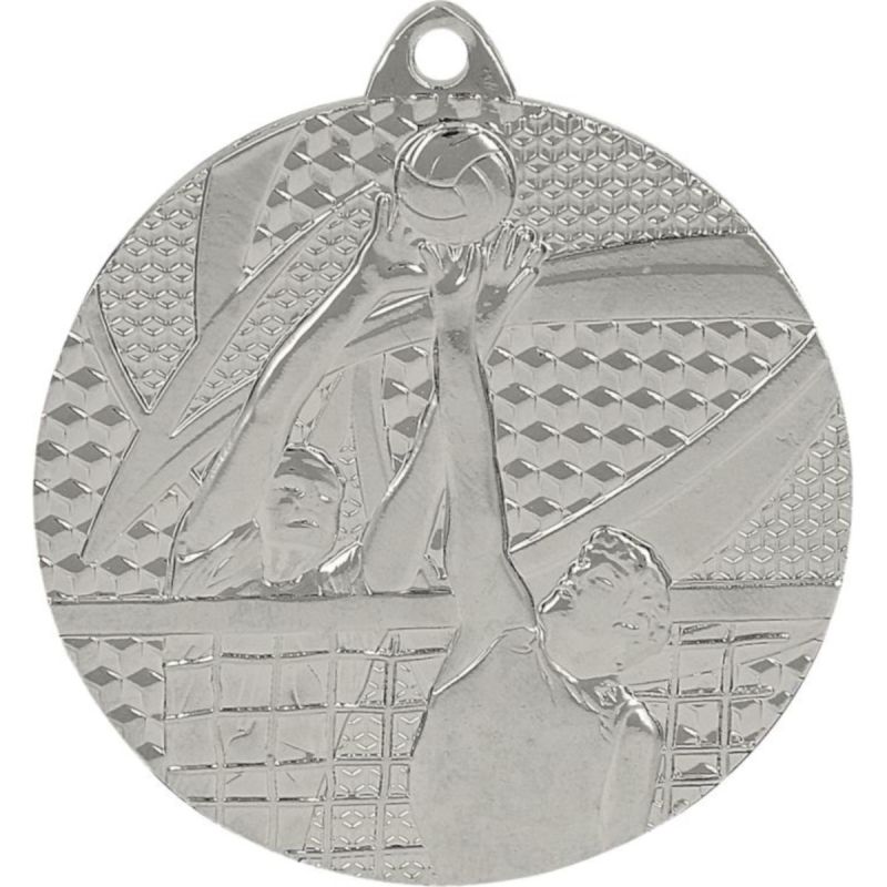 silver medal - volleyball
