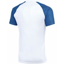 Nike Maglia Dri-Fit Academy II and