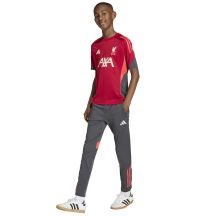 adidas Maglia Liverpool FC Training JSY