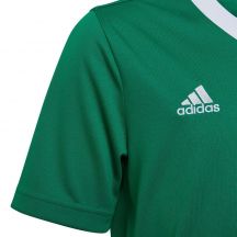 adidas Maglia Entrada