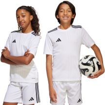 adidas Maglia Campeon for