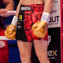Yakima Guanti Tiger Boxing oz