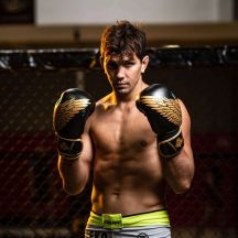 DBX Bushido Guanti Boxing Hawk Origin Series