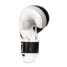 DBX Bushido Guanti Boxing Edge Valor Series