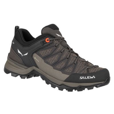 Salewa Scarpe Mtn Trainer Lite GTX trekking
