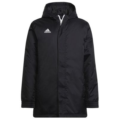 adidas Giacca entrada Stadium