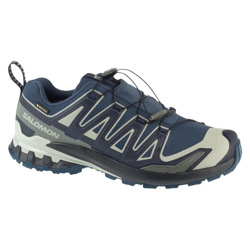 Salomon XA Pro 3D v9 GTX L49199200 Navy Blue 42
