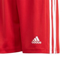 adidas Pantaloncini Squadra Short Youth