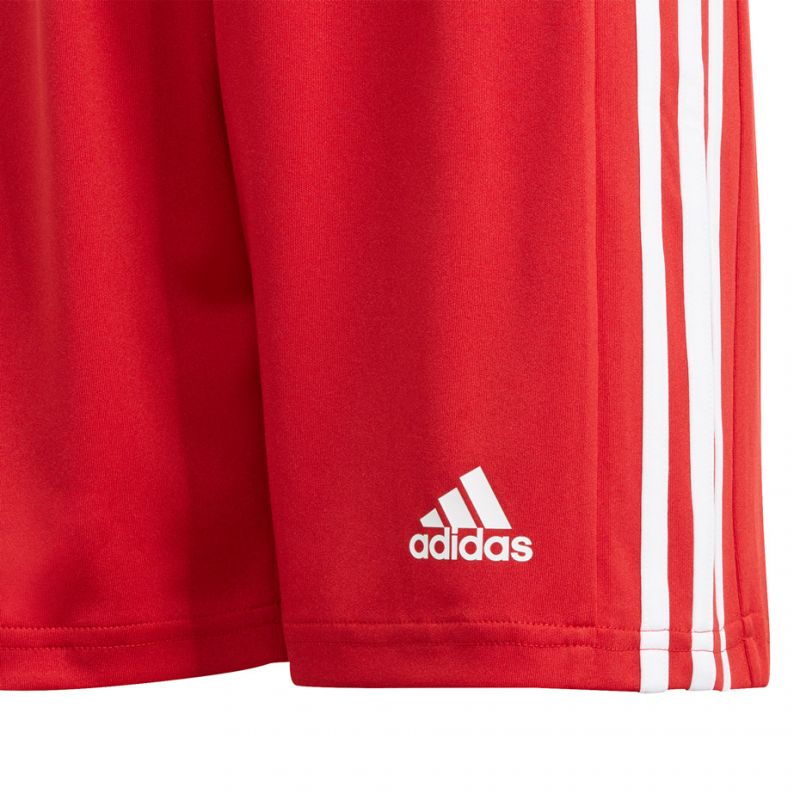 adidas Pantaloncini Squadra Short Youth